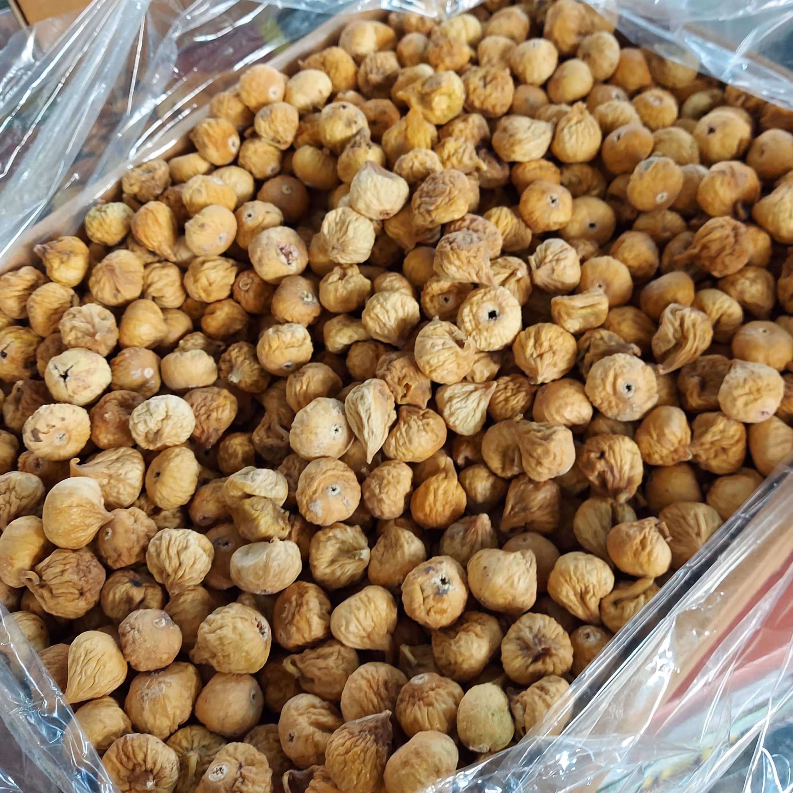 انجیر سایز درشت AAA یکدست سفید درشت سالم برداشت 1402 طبیعی 