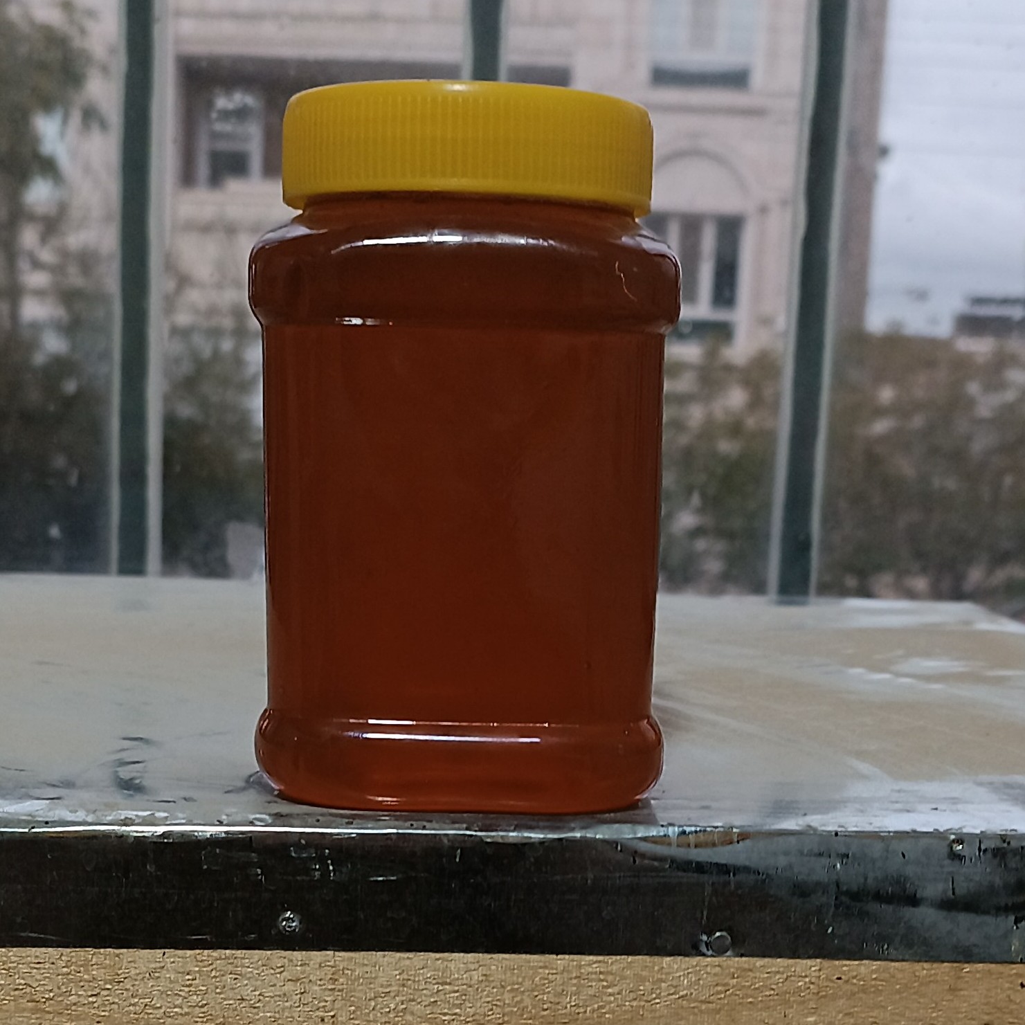 عسل کوهی