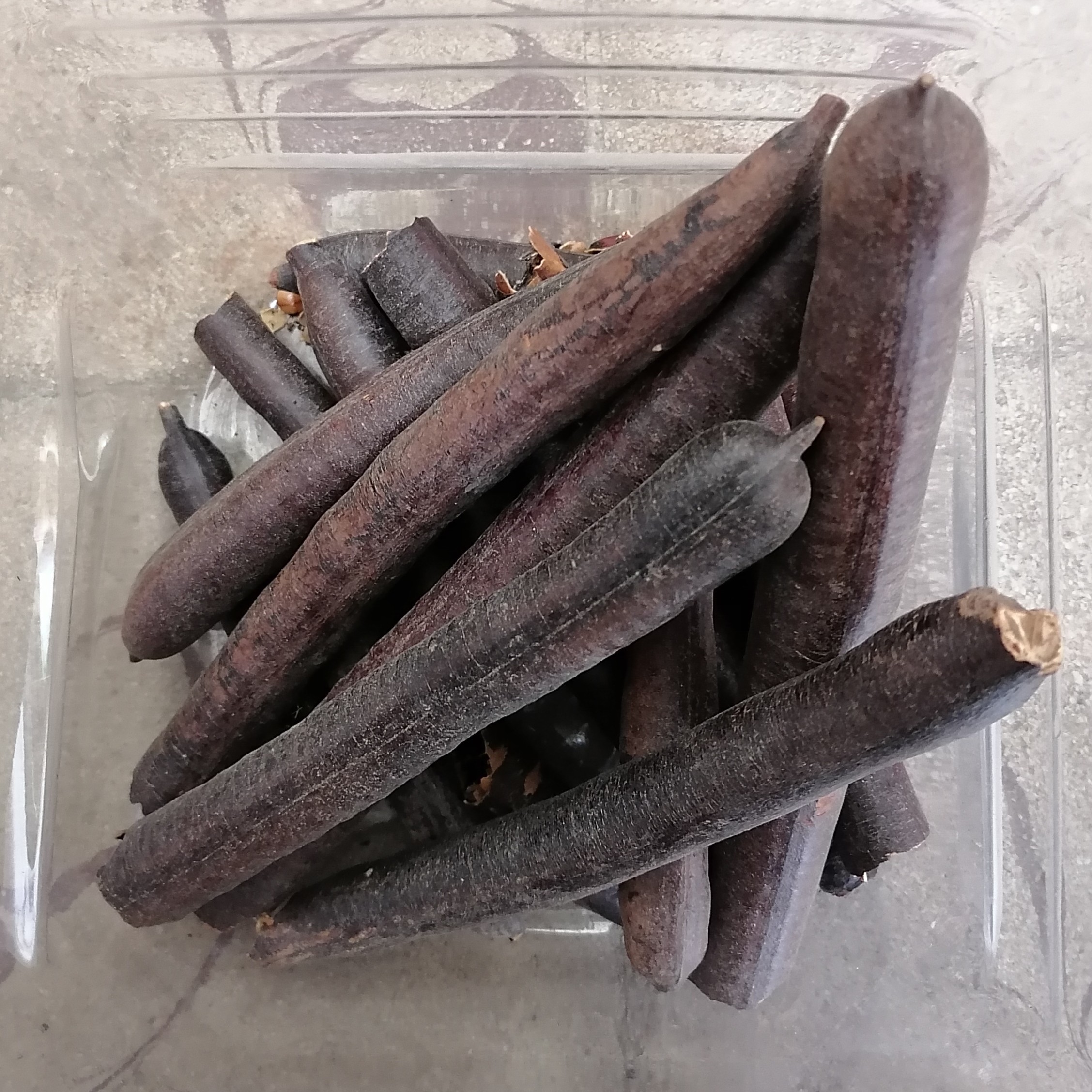 فلوس 100 گرمی