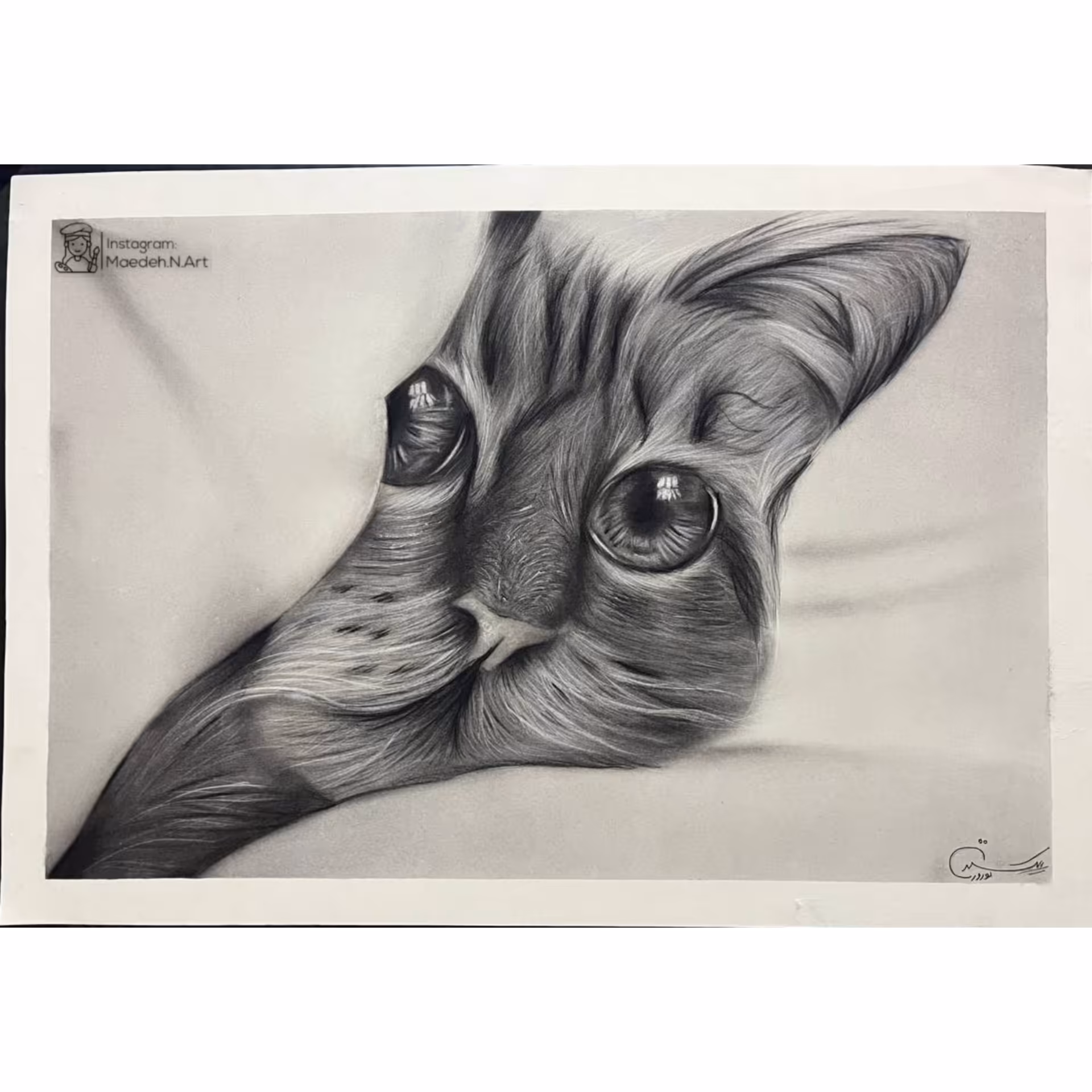 نقاشی سیاه قلم گربه سایز A3(بدون قاب)