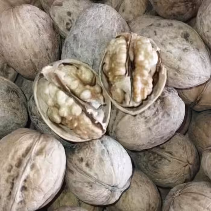 گردوپوست کاغذی ایرانی(900)گرمی ارسال رایگان