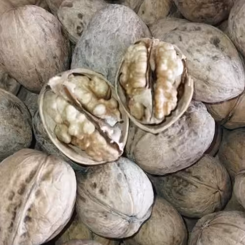 گردوپوست کاغذی ایرانی(900)گرمی ارسال رایگان