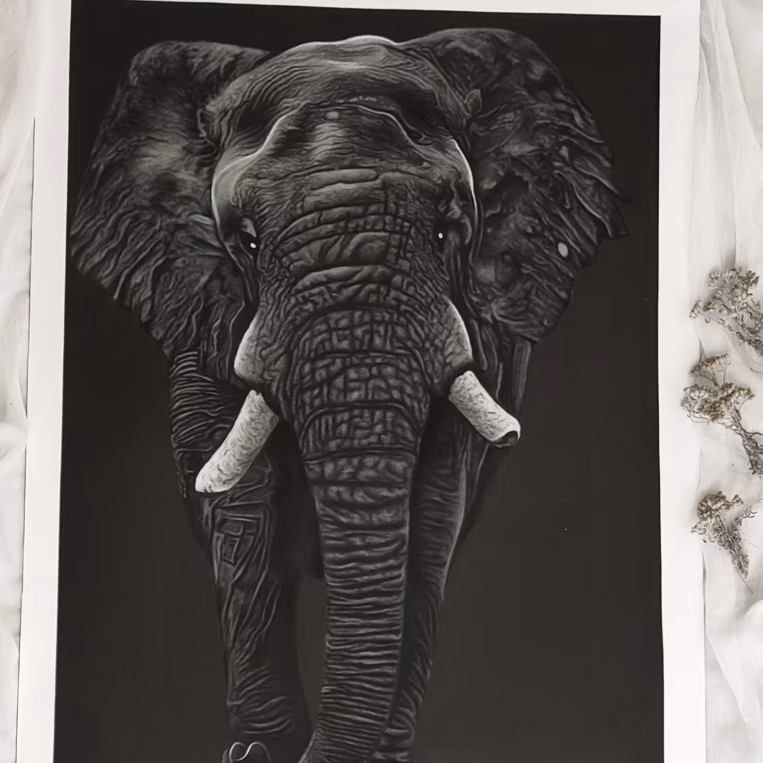 تابلو  نقاشی چهره  سیاهقلم