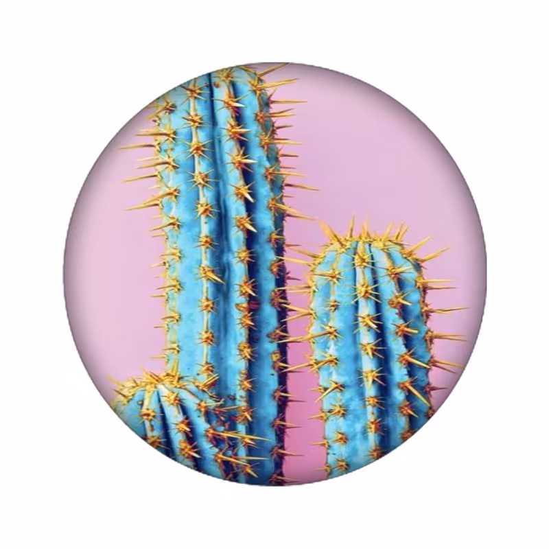 استیکر تزئینی موبایل مدل کاکتوس کد 2753