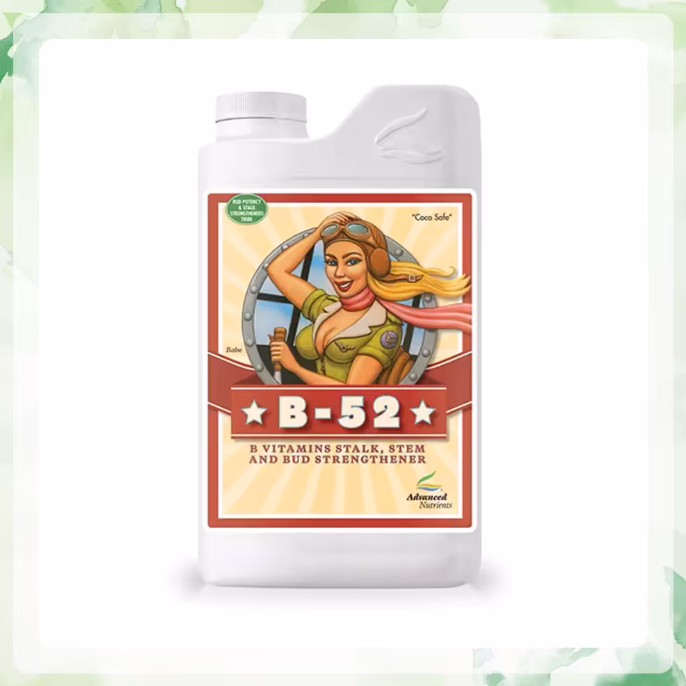 کود ادونس B-52