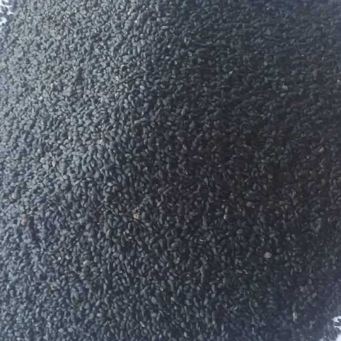 تخم شربتی ریحان اعلاء هندی 100 گرمی