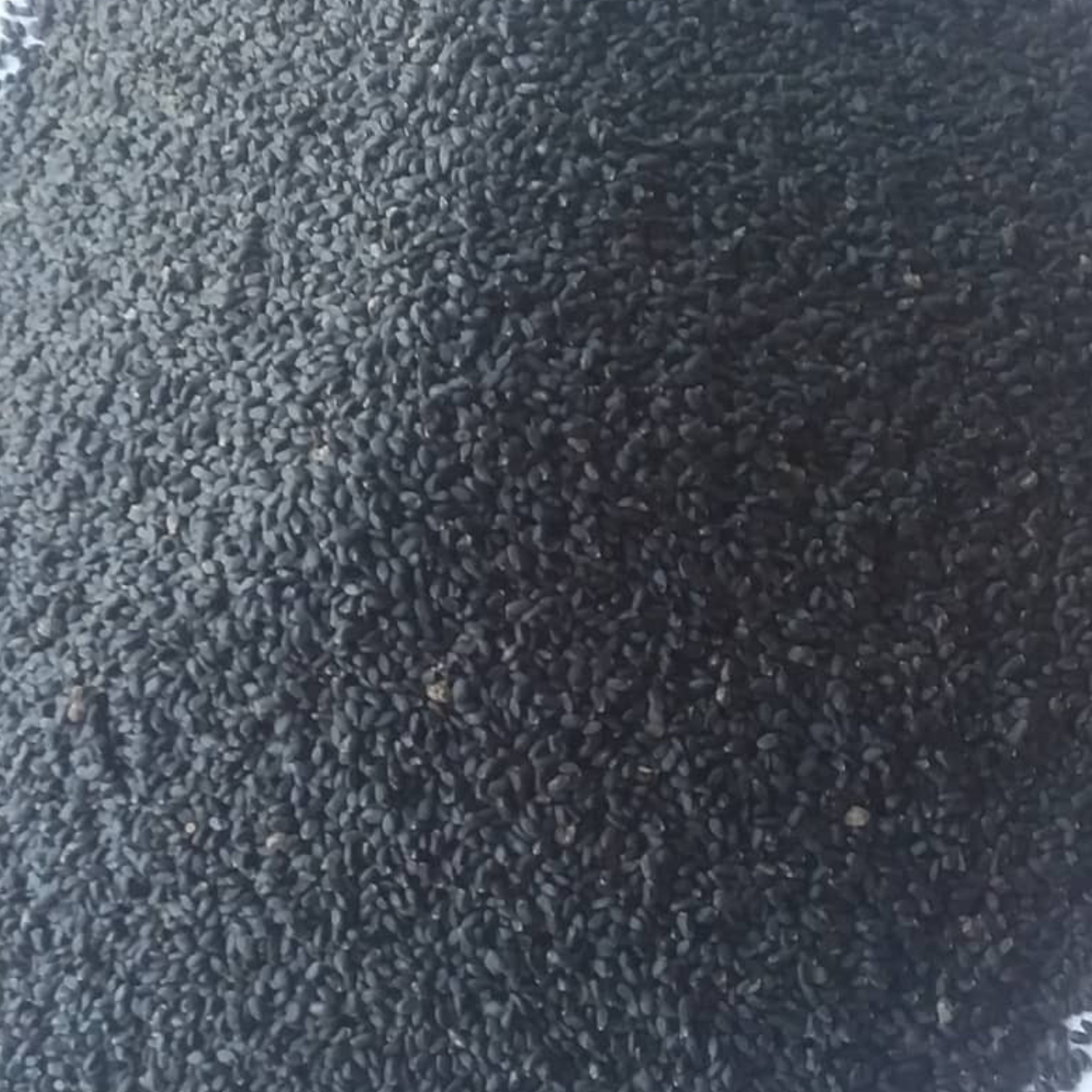 تخم شربتی ریحان اعلاء هندی 100 گرمی