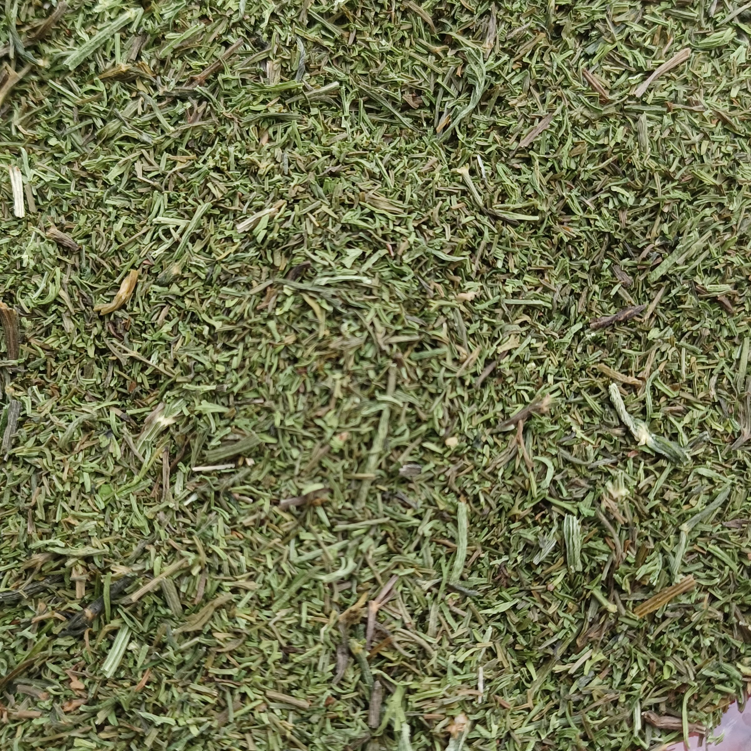 شوید خشک محلی آستانه اشرفیه تازه 50 گرمی