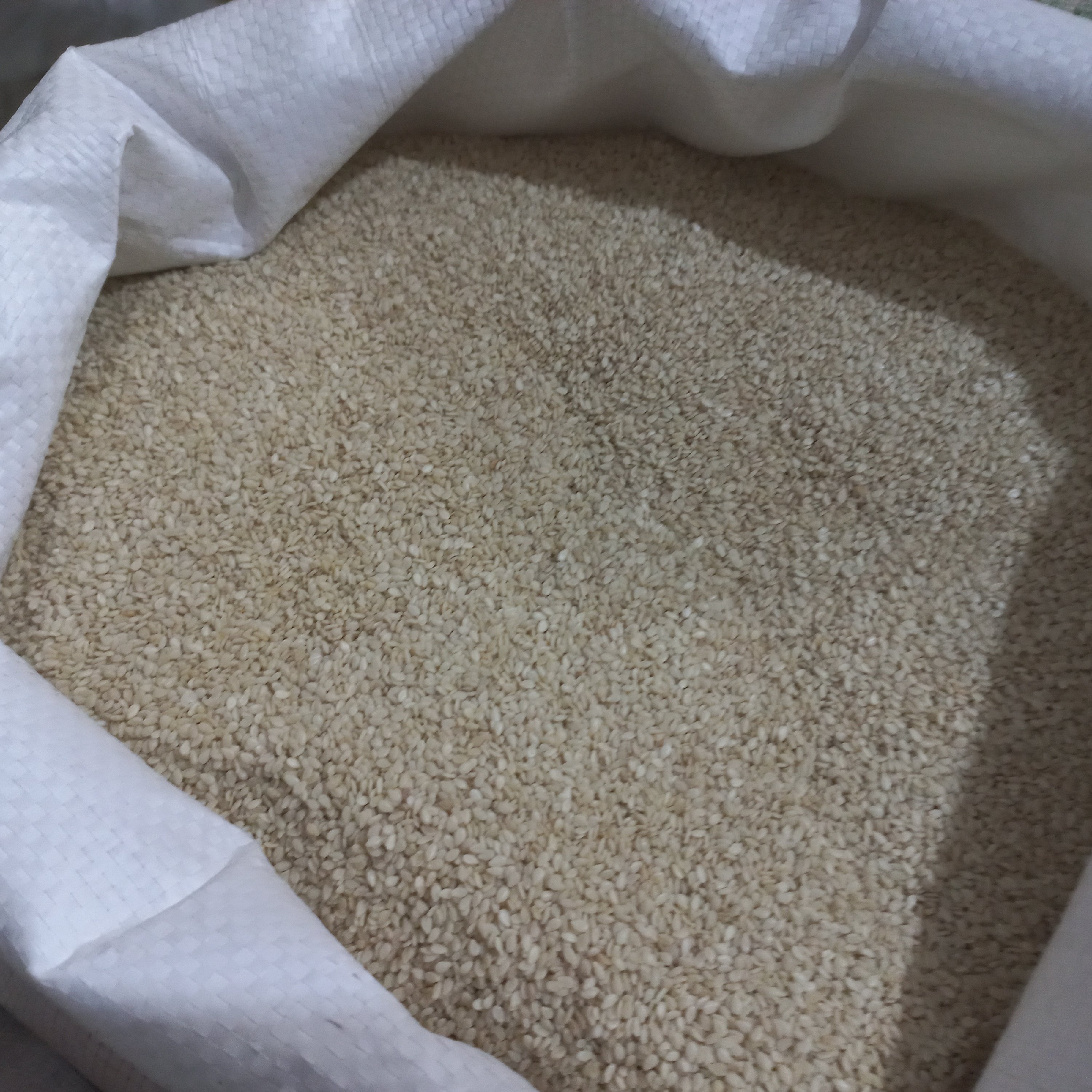 کنجد سفید (250 گرمی )