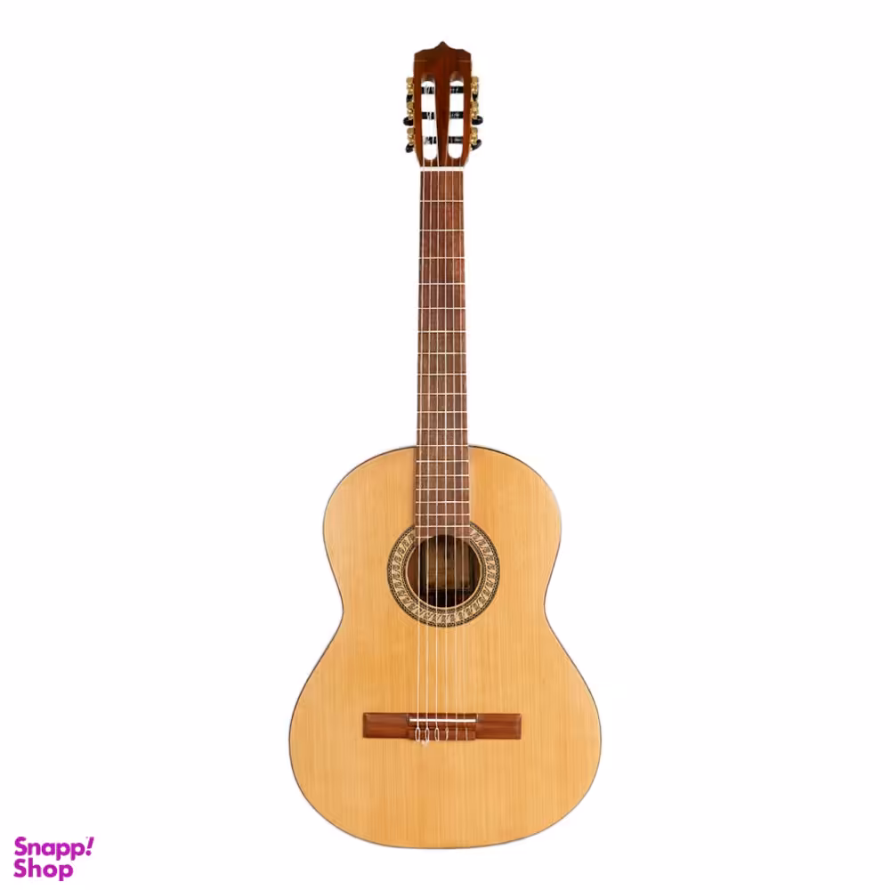 گیتار طرح پارسی P70 همراه با کاور کد 4