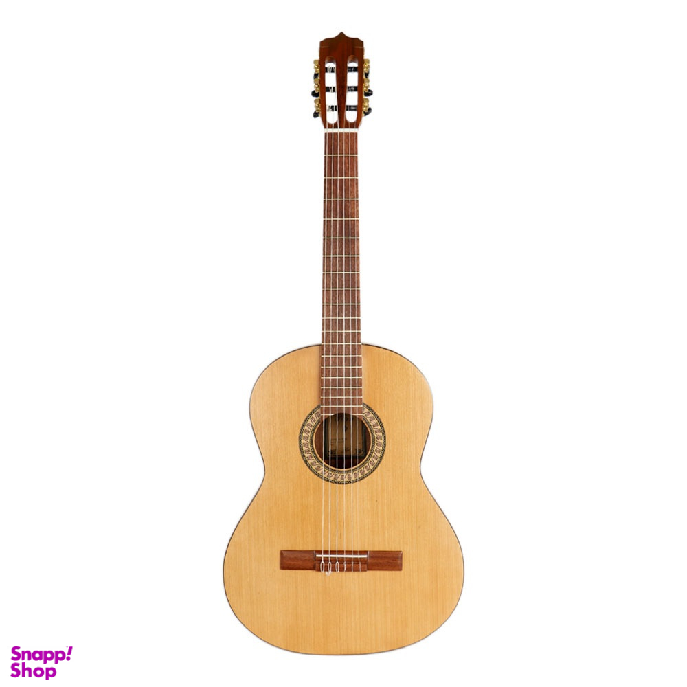 گیتار طرح پارسی P70 همراه با کاور کد 4