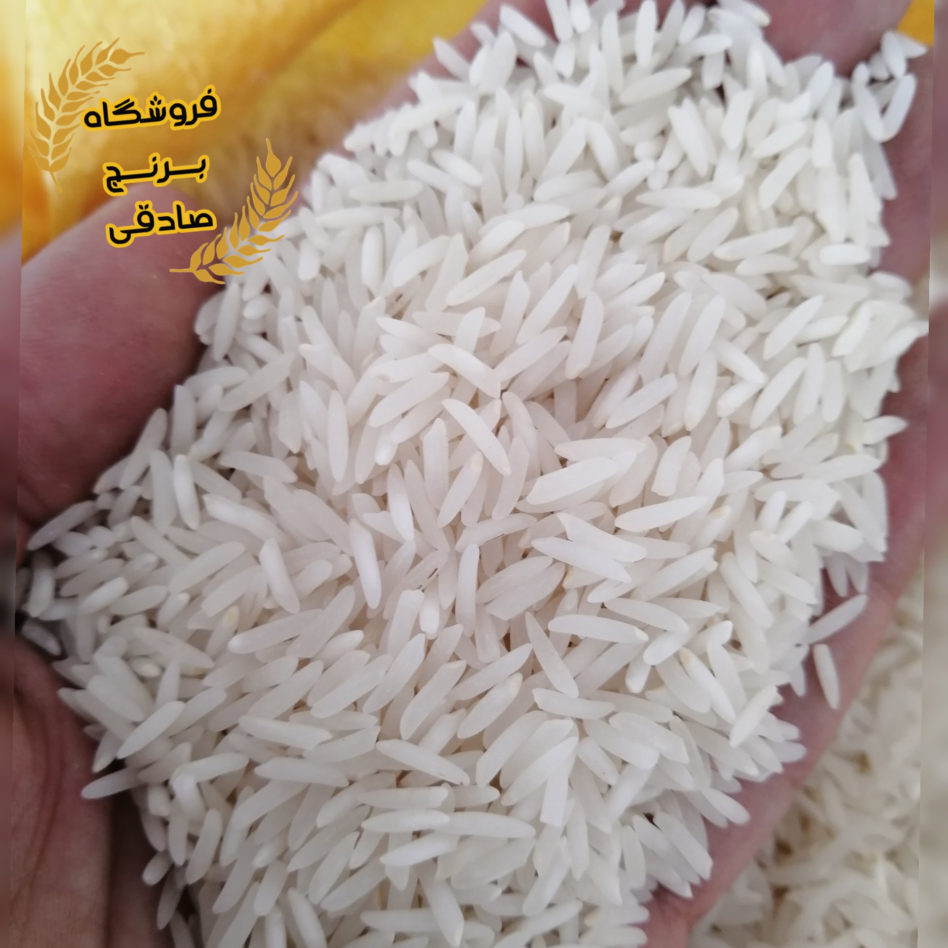 برنج فجر استخوانی اعلاء (ده کیلویی)
