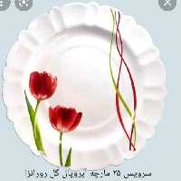 آرکوپال  (آیروپال ) 25 پارچه مدل  لورانزا مارک مقصود