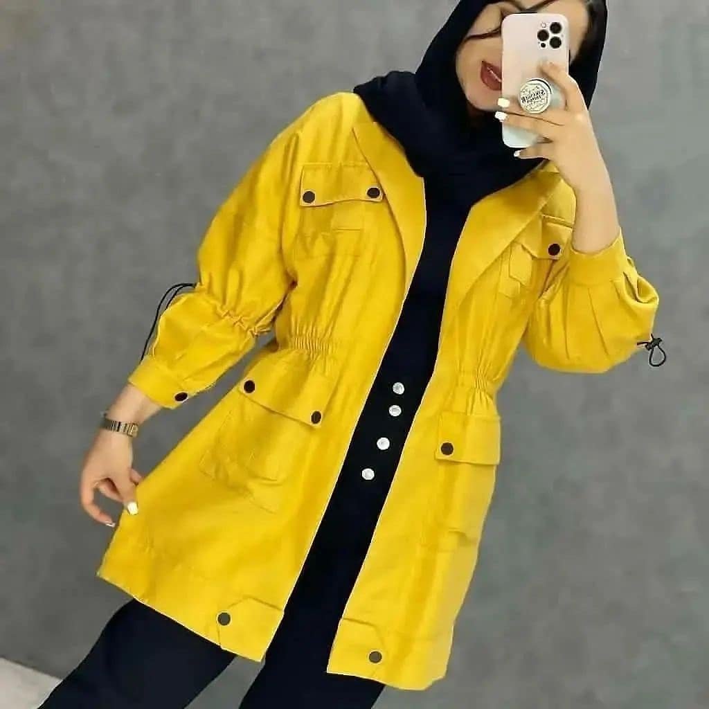 میکرو چهار جیب