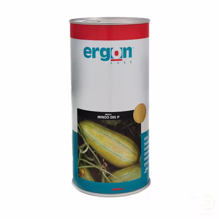 بذر خربزه ارگون