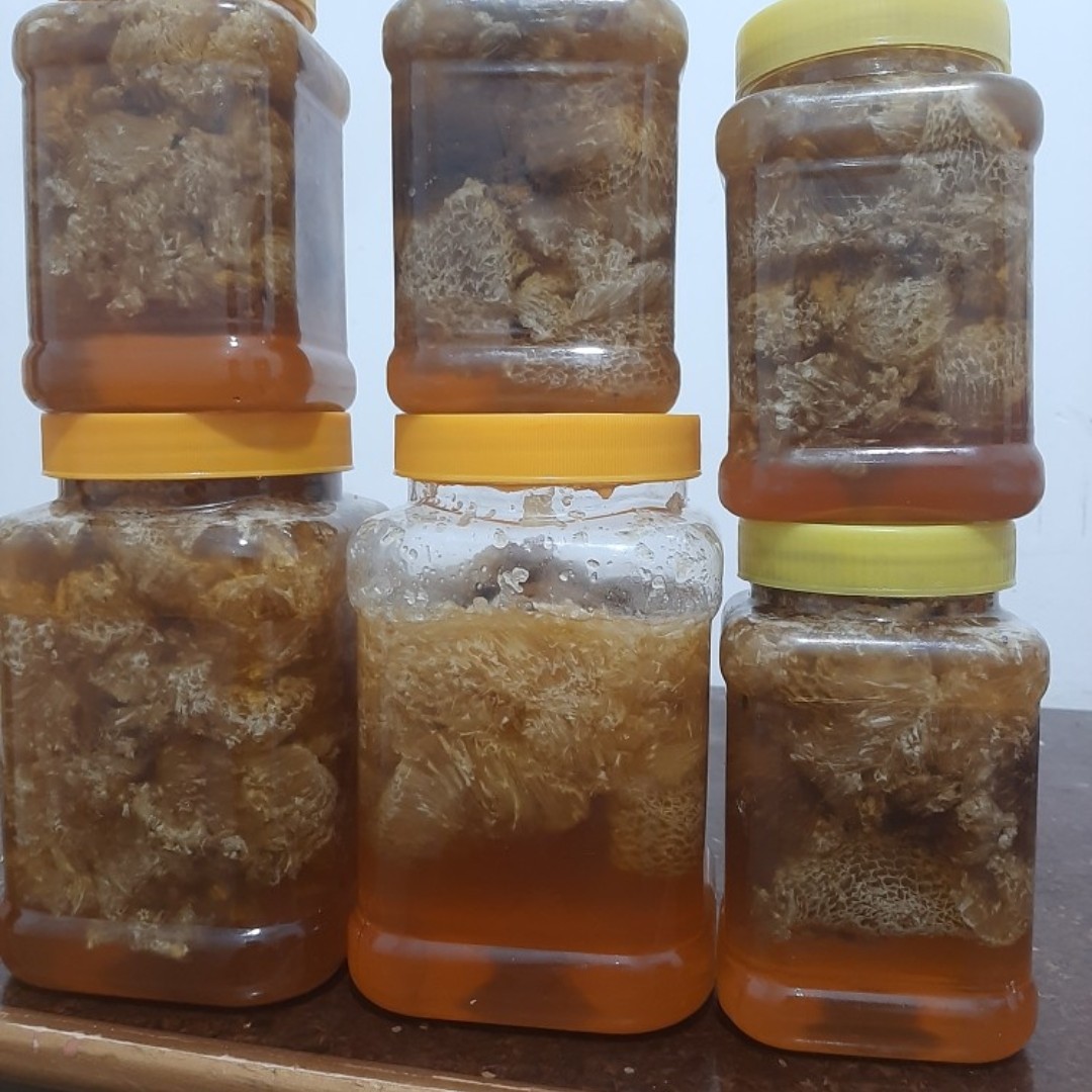 عسل وحشی زنبور ریز جنوب صادراتی درجه یک
