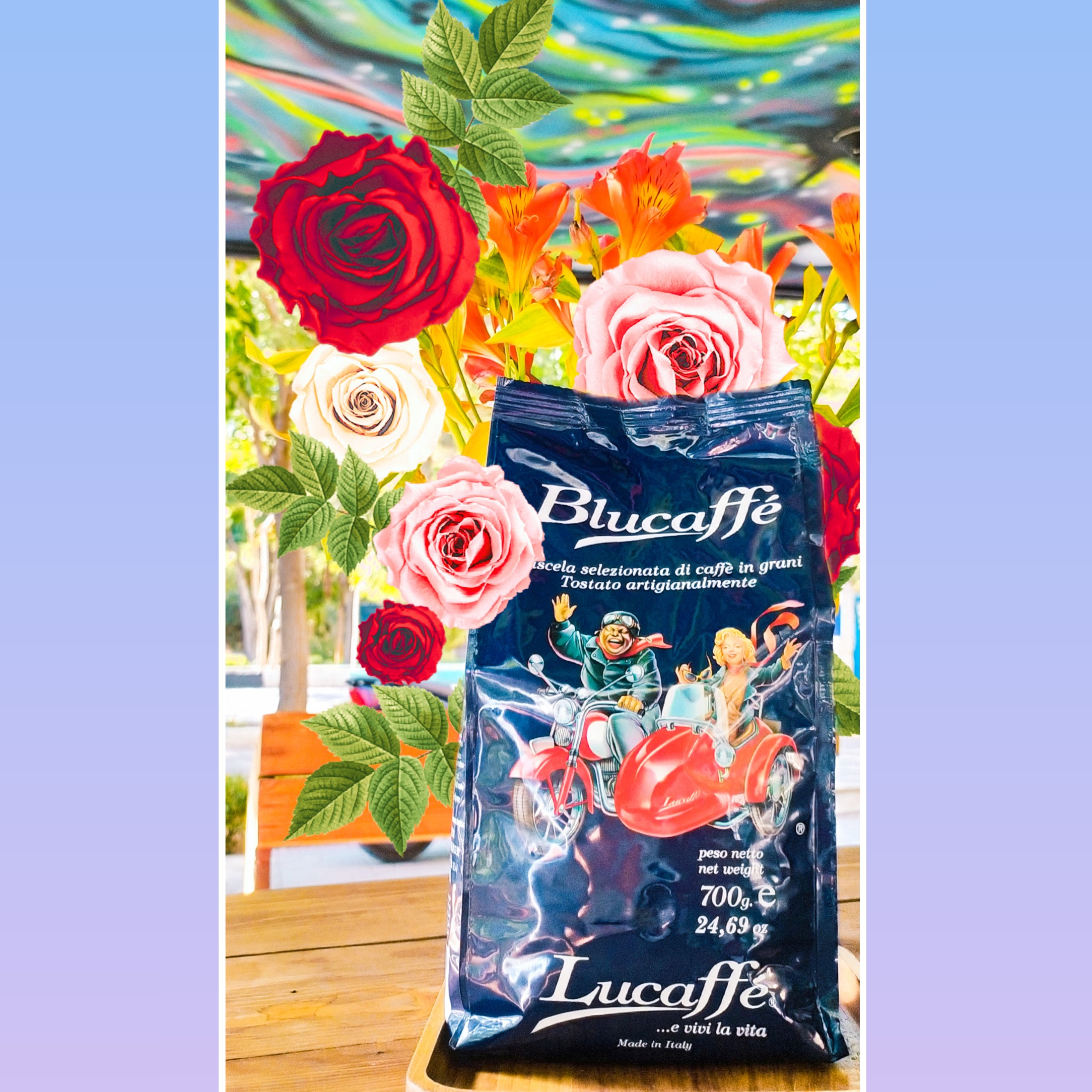 بلو کافی Blu Caffe (( عربیــکا 100 درصد))