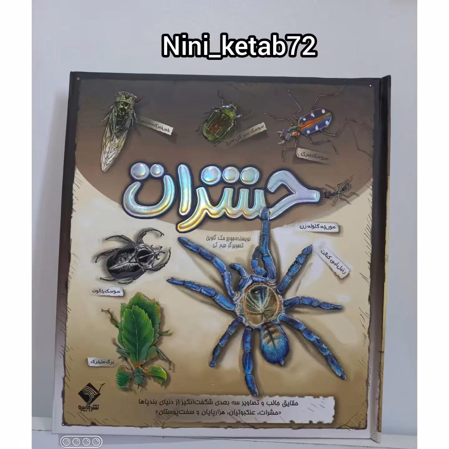 کتاب سه بعدی حشرات انتشارات تولد