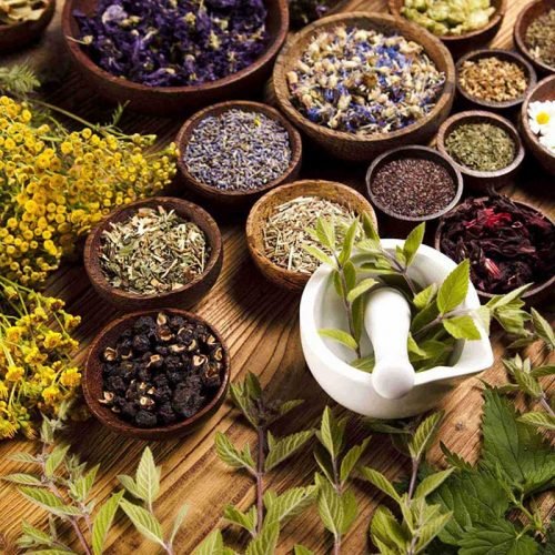 معجون ترکیبی گیاهی کلیه