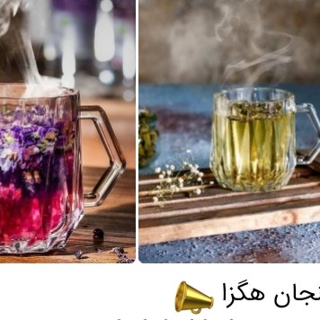 فنجان هگزا