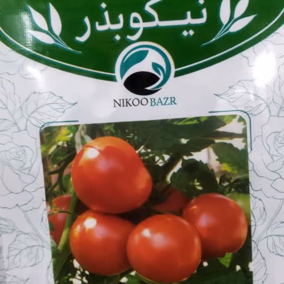 بذر گوجه
