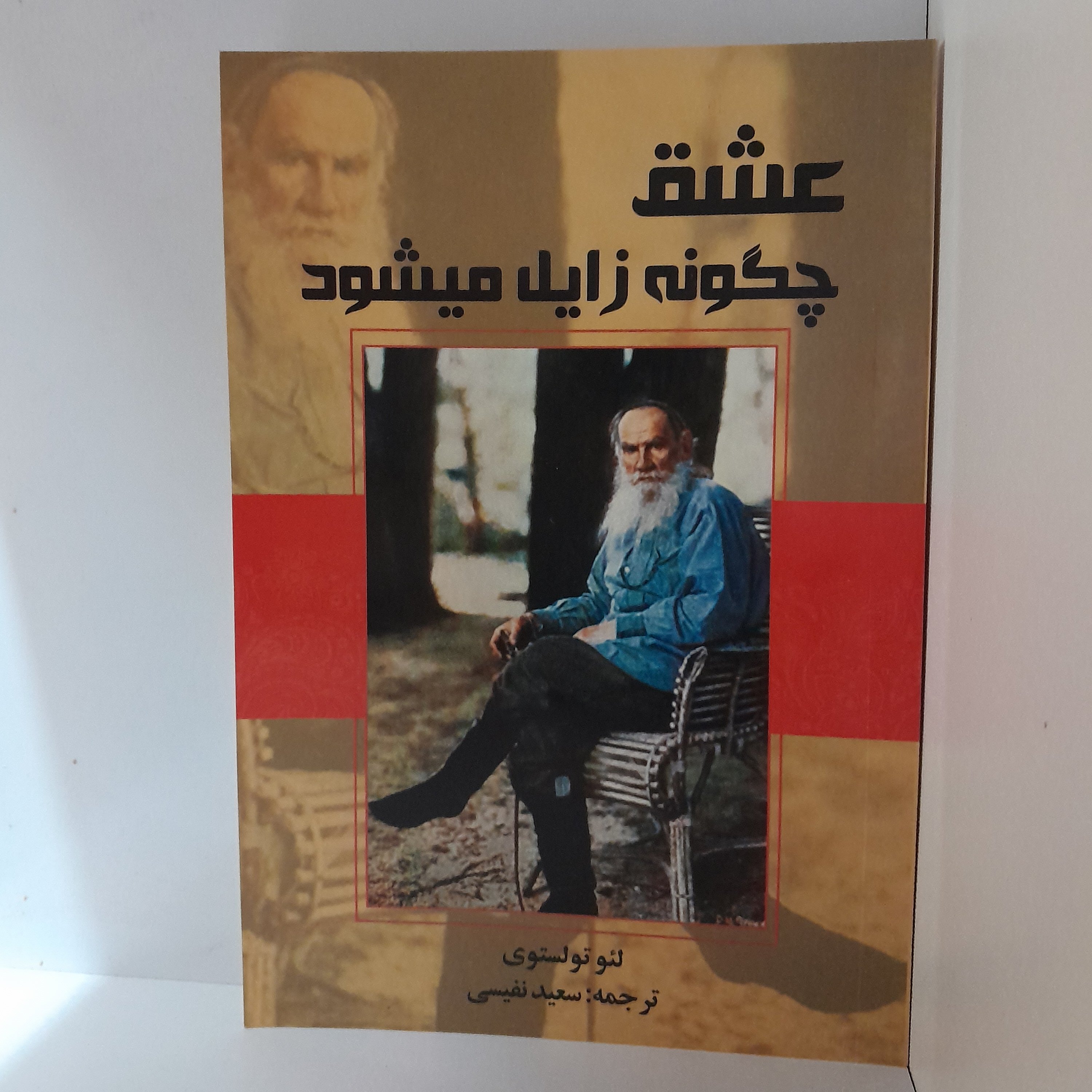 کتاب عشق چگونه زائل شد