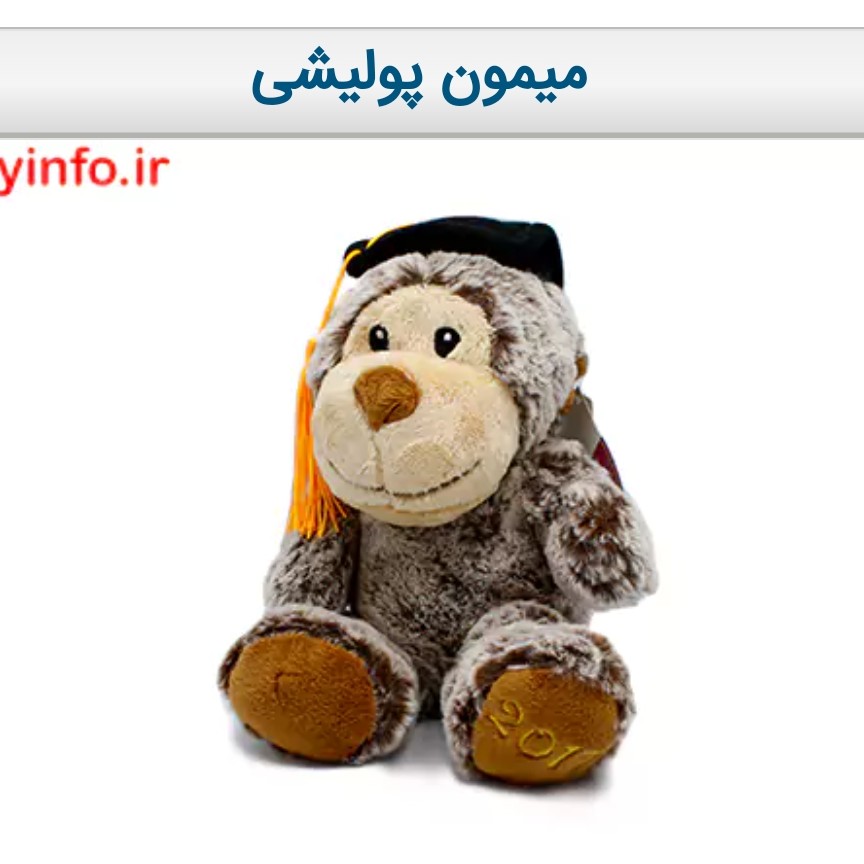 میمون پولیشی