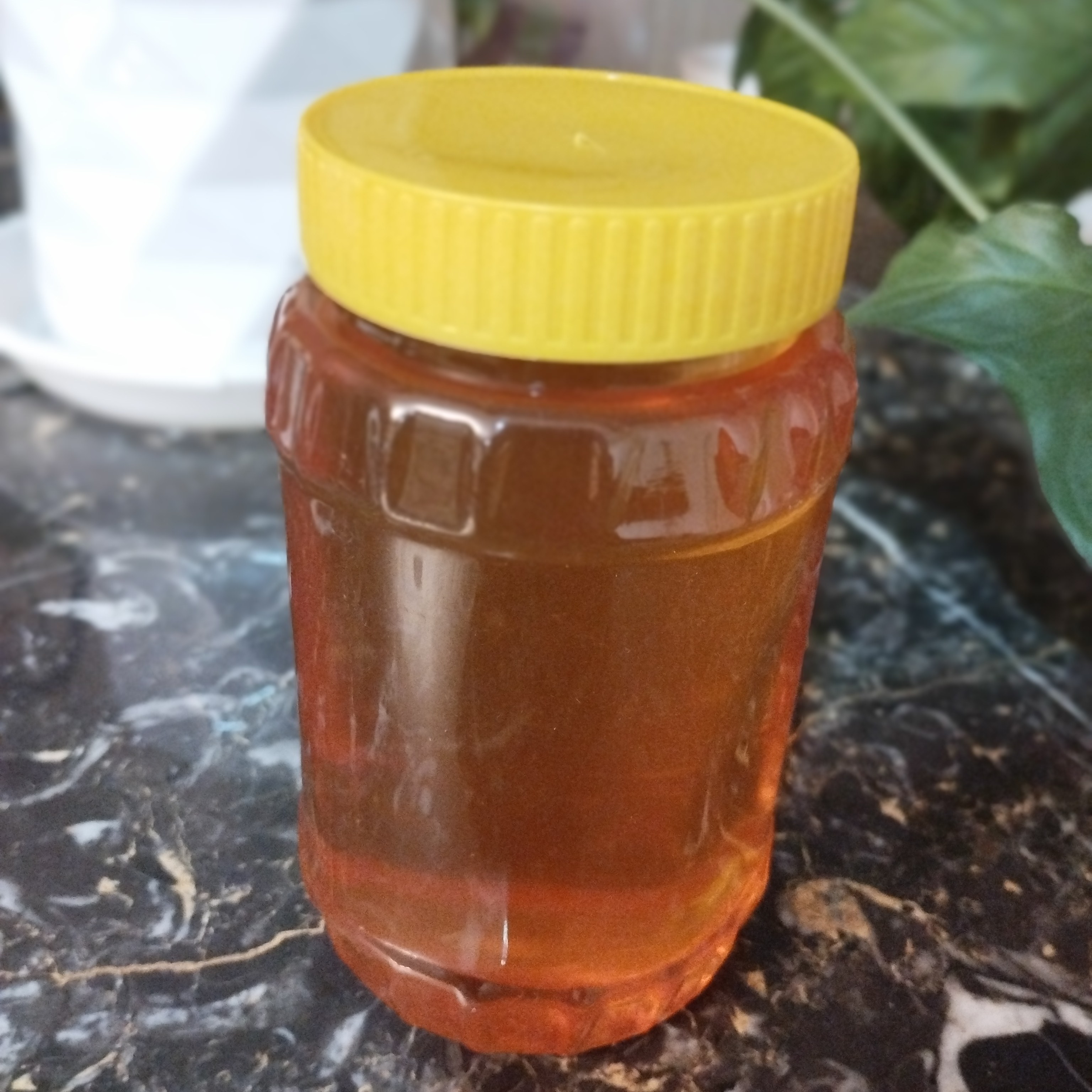 عسل گون