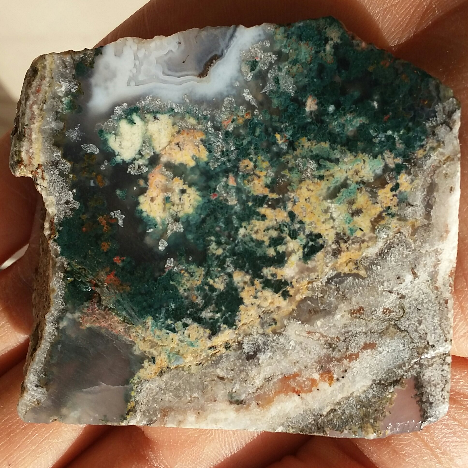 اسلایس سنگ راف شجر دریایی 7رنگ دو طرفه 100 در 100 طبیعی شاهکار خلقت زیبا خاص