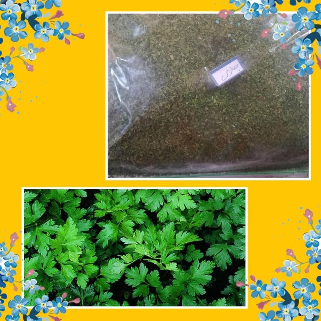 سبزی جعفری خشک شده محلی وخانگی شمال بدون ساقه وتمیز  در بسته بندی (100)گرمی