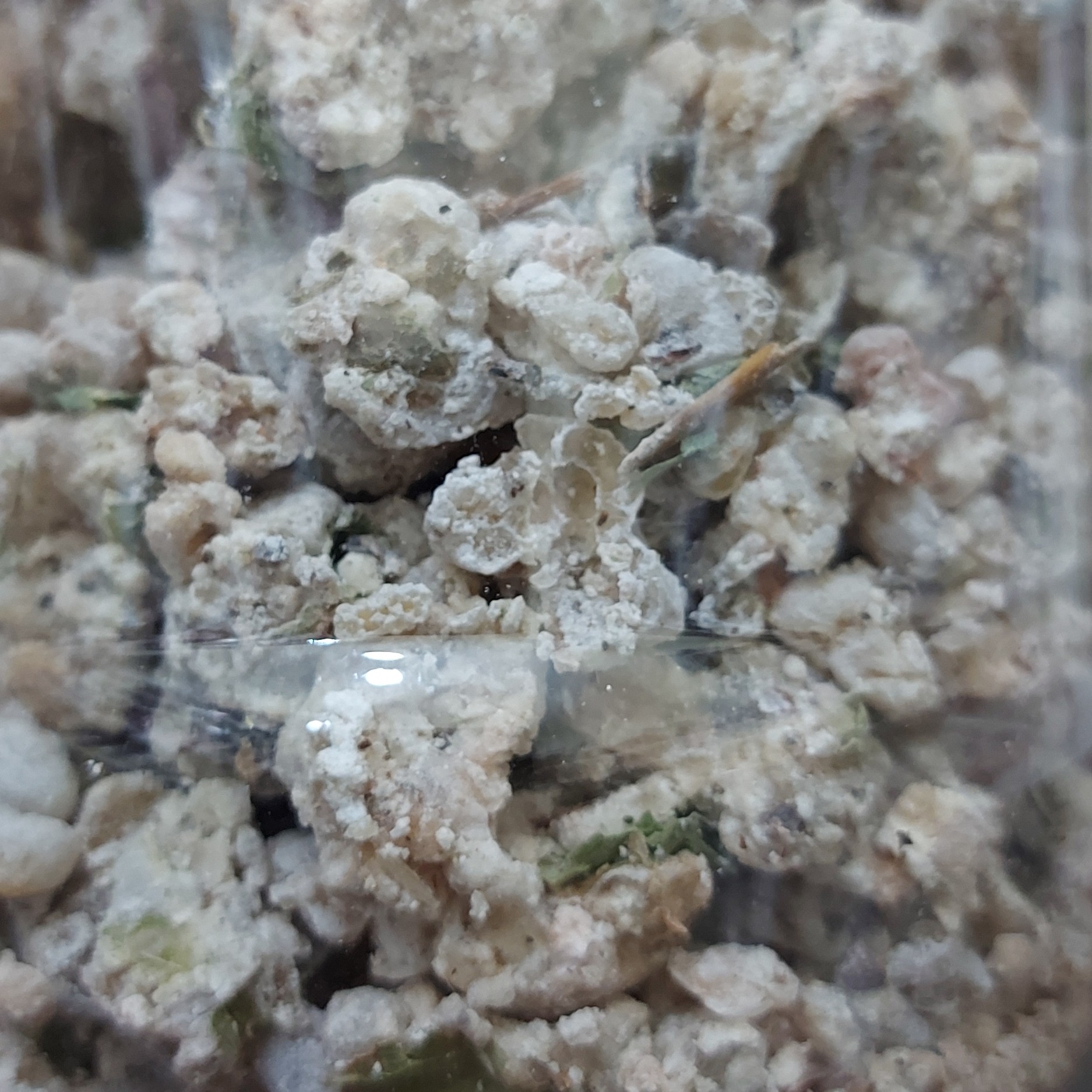 شیرخشت زردی کودک