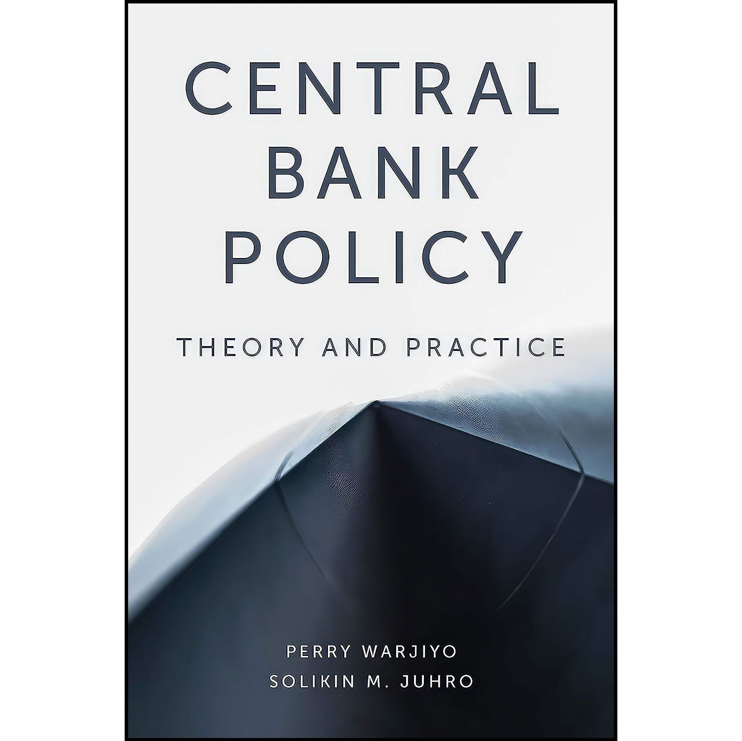 کتاب زبان اصلی Central Bank Policy اثر Perry Warjiyo and Solikin M Juhro