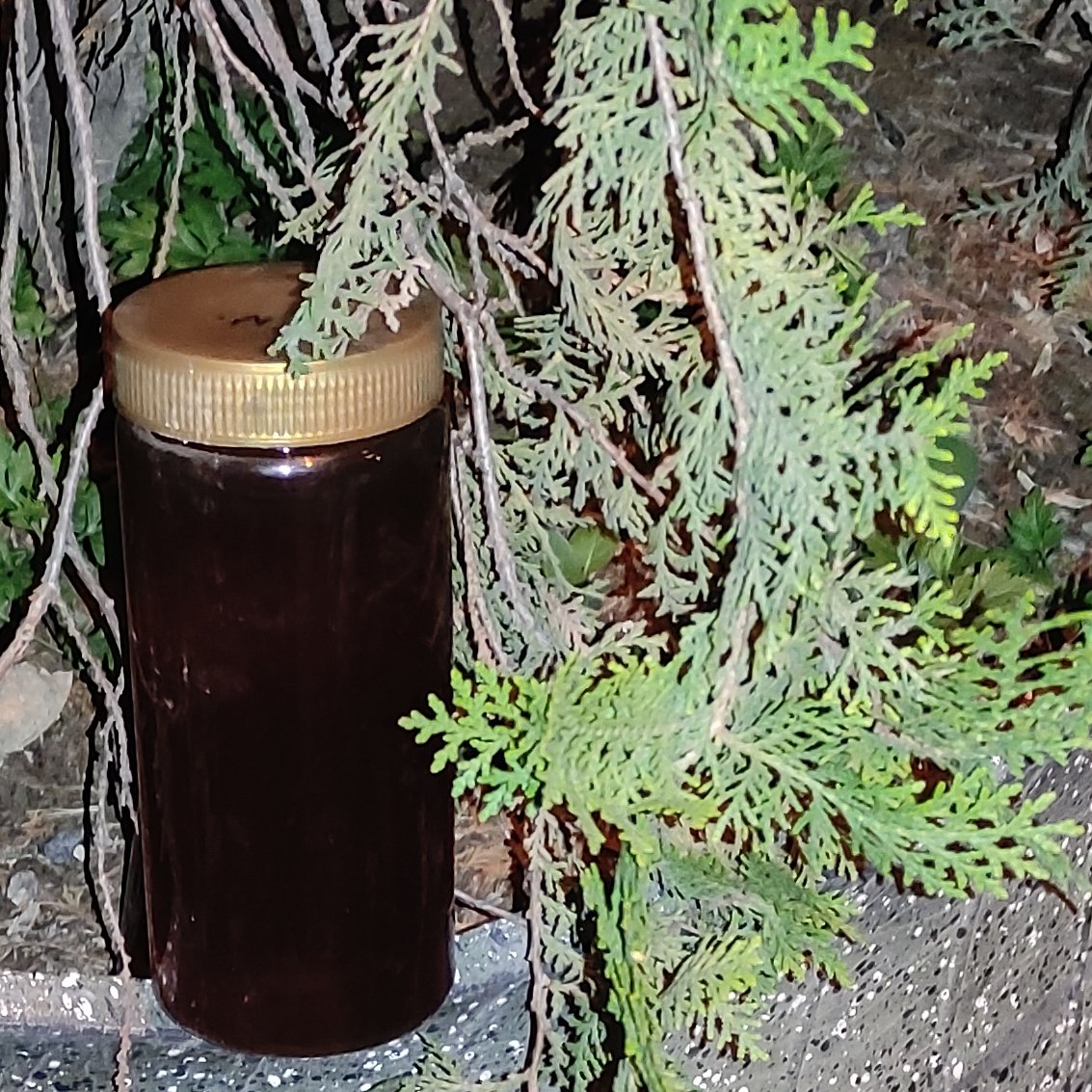عسل سیاهدانه طبیعی ویژه امسالی (یک کیلویی)