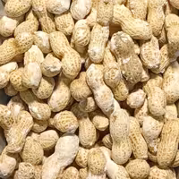 بادام زمینی با پوست غلافدار آستانه محصول 1403 نیم کیلویی آجیل و خشکبار مهران 