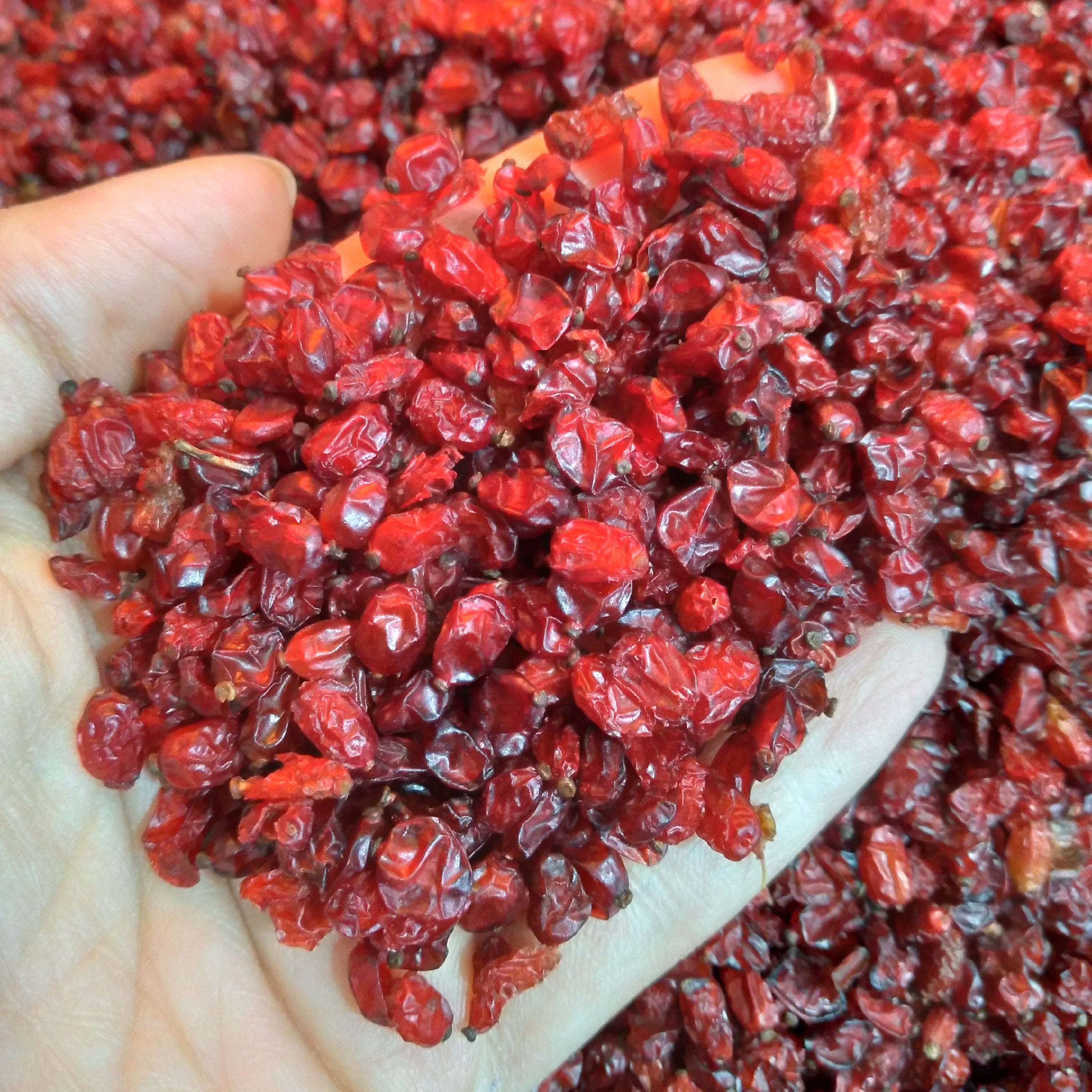 زرشک کیفیت خوب نرم امسالی (200گرمی)