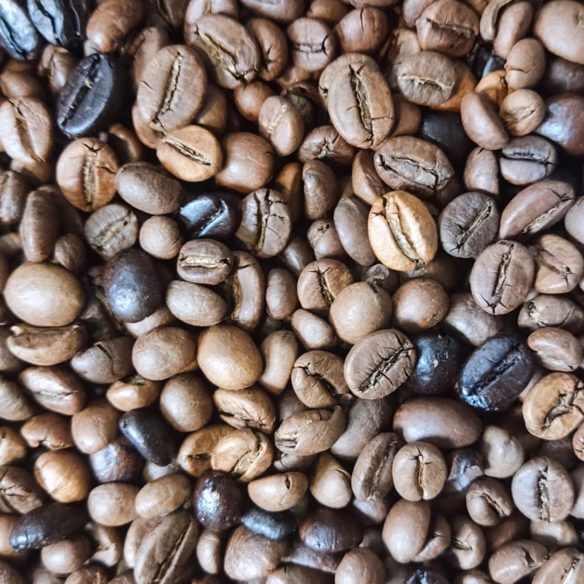 قهوه 80روبستا 20عربیکا250گرم