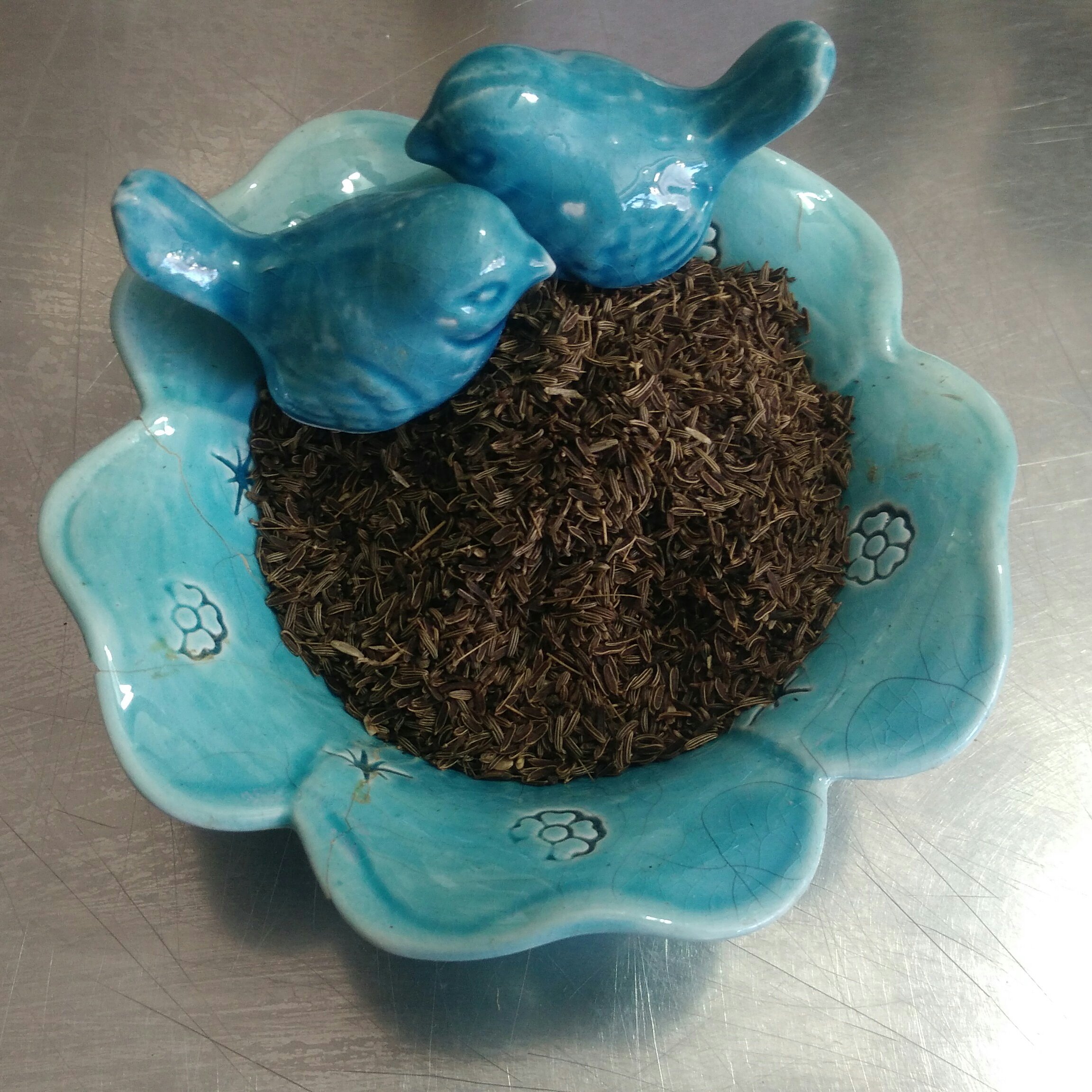 زیره سیاه کوهی