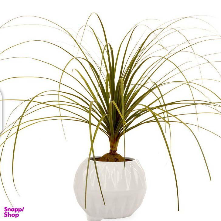 گلدان لیندا