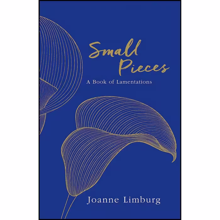 کتاب زبان اصلی Small Pieces اثر Joanne Limburg
