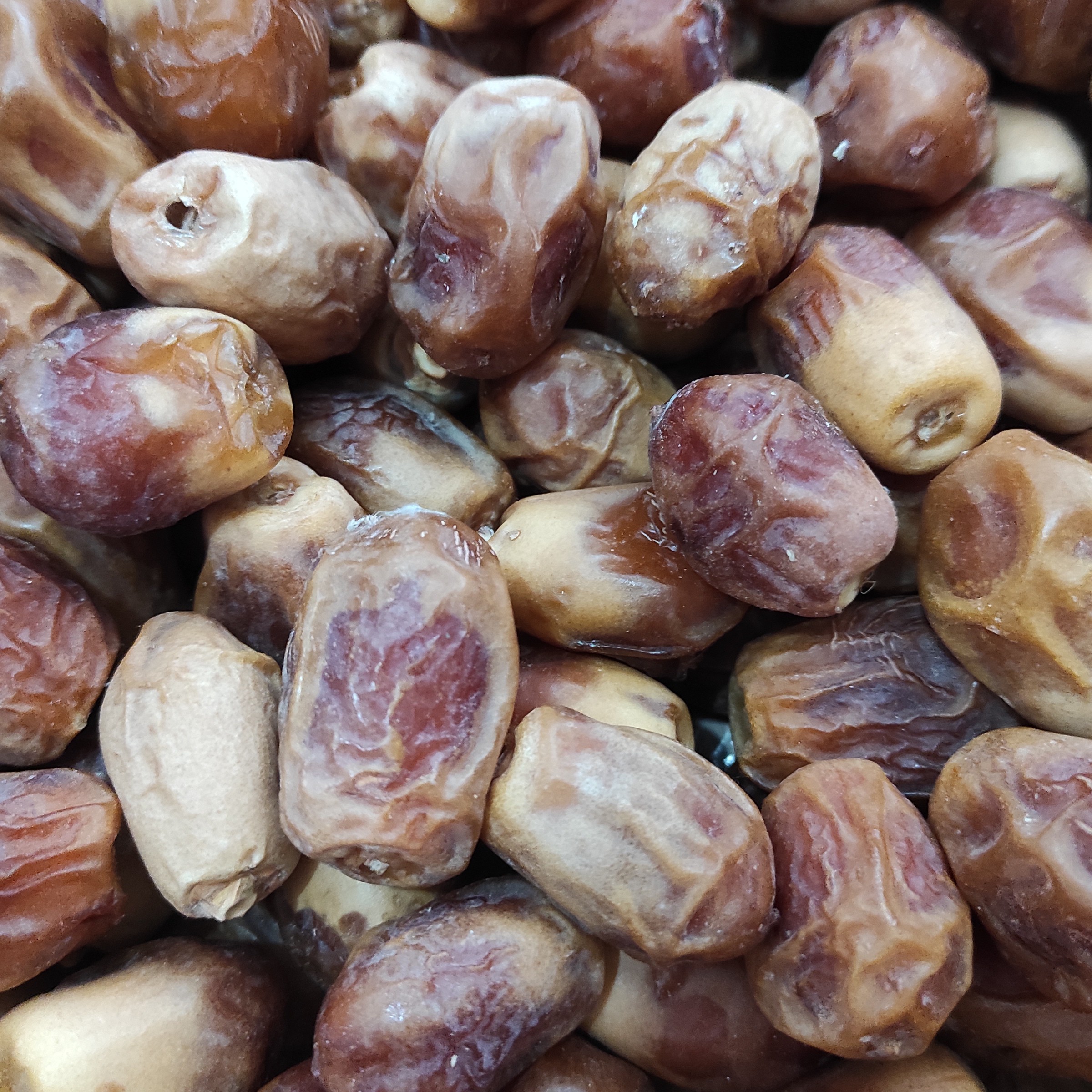 خرمای زاهدی