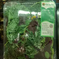 سبزی سالادی میکس مدیترانه ای