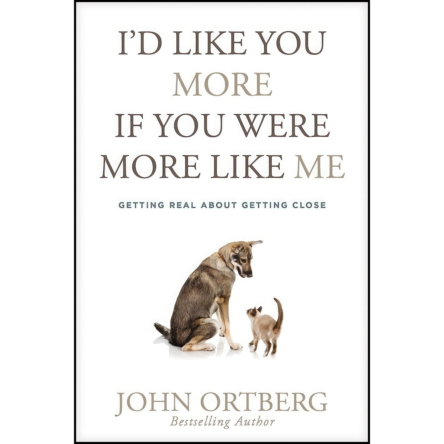 کتاب زبان اصلی Id Like You More If You Were More like Me اثر John Ortberg