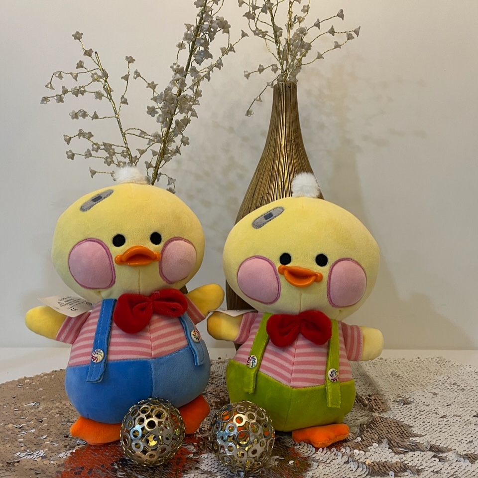 جوجه نوک پلاستیکی پاپیونی نانو اورجینال 25 سانتی متر