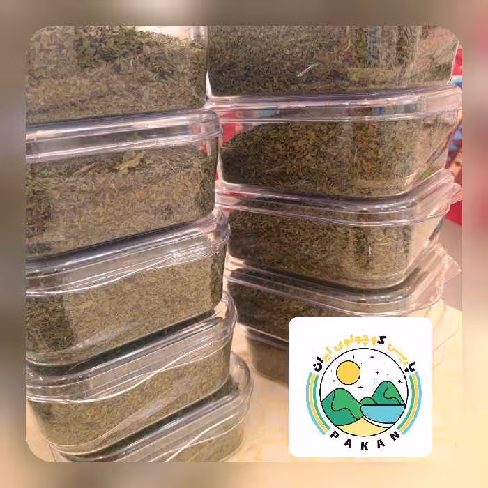 نعنا خشک محلی ممتاز بروجرد (50 گرم) عطر عالی