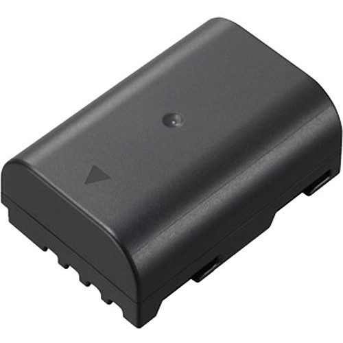 باتری لیتیومی دوربین پاناسونیک Panasonic DMW-BLF19
