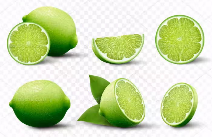 وکتور لیموی سبز | گرافیک با طعم تربچه