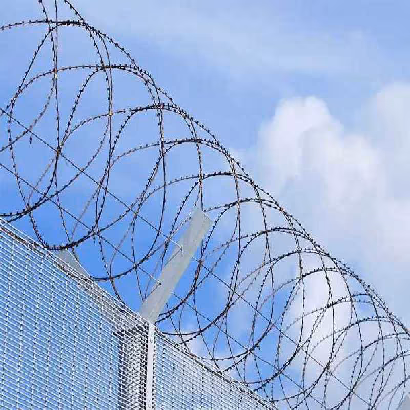 سیم خاردار حلقوی تیغی قطر 90فولاد hiکربن ضد برش 10 کیلویی