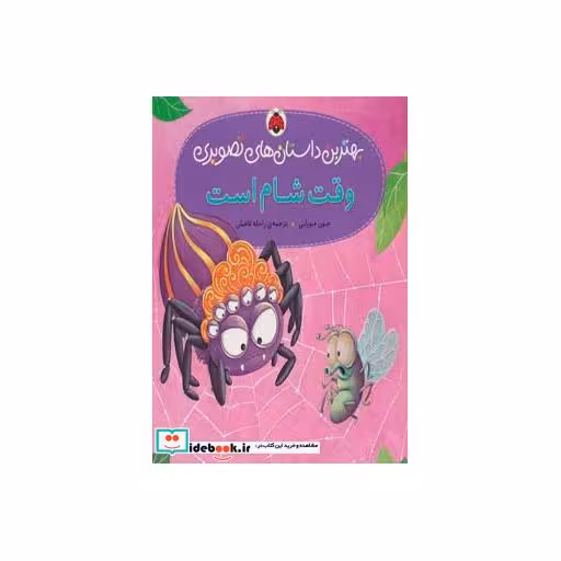 کتاب وقت شام است