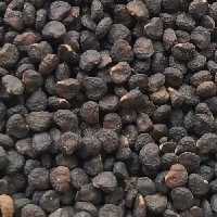 تاتوره داتوره اصل یک کیلو گرم 