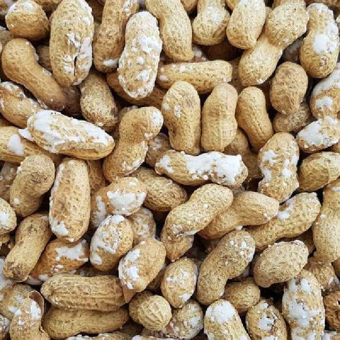 بادام زمینی غلافدار نمکی تازه و درشت ارسال رایگان